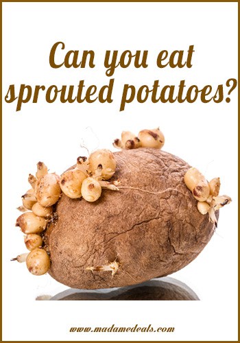 Can You Eat Sprouting Potatoes? - Real Advice Gal